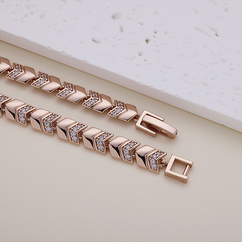 MxGxFam (17cm/19cm x 6mm) 18K/ - Xcm Chain のレビューと価格