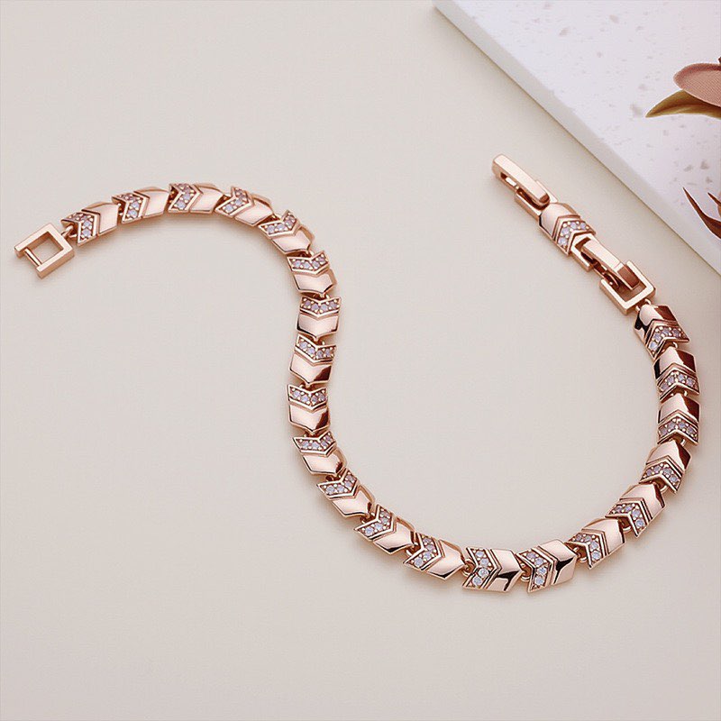 MxGxFam (17cm/19cm x 6mm) 18K/ - Xcm Chain のレビューと価格